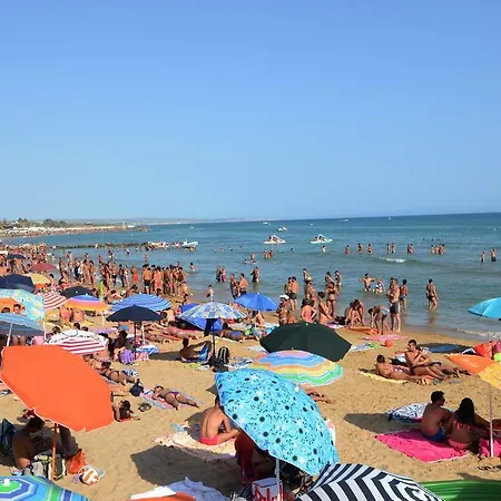 Cocorito Punta Secca